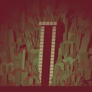 Forest Cave Entrances